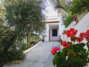 Cortijo Rural Al-Andalus con Piscina